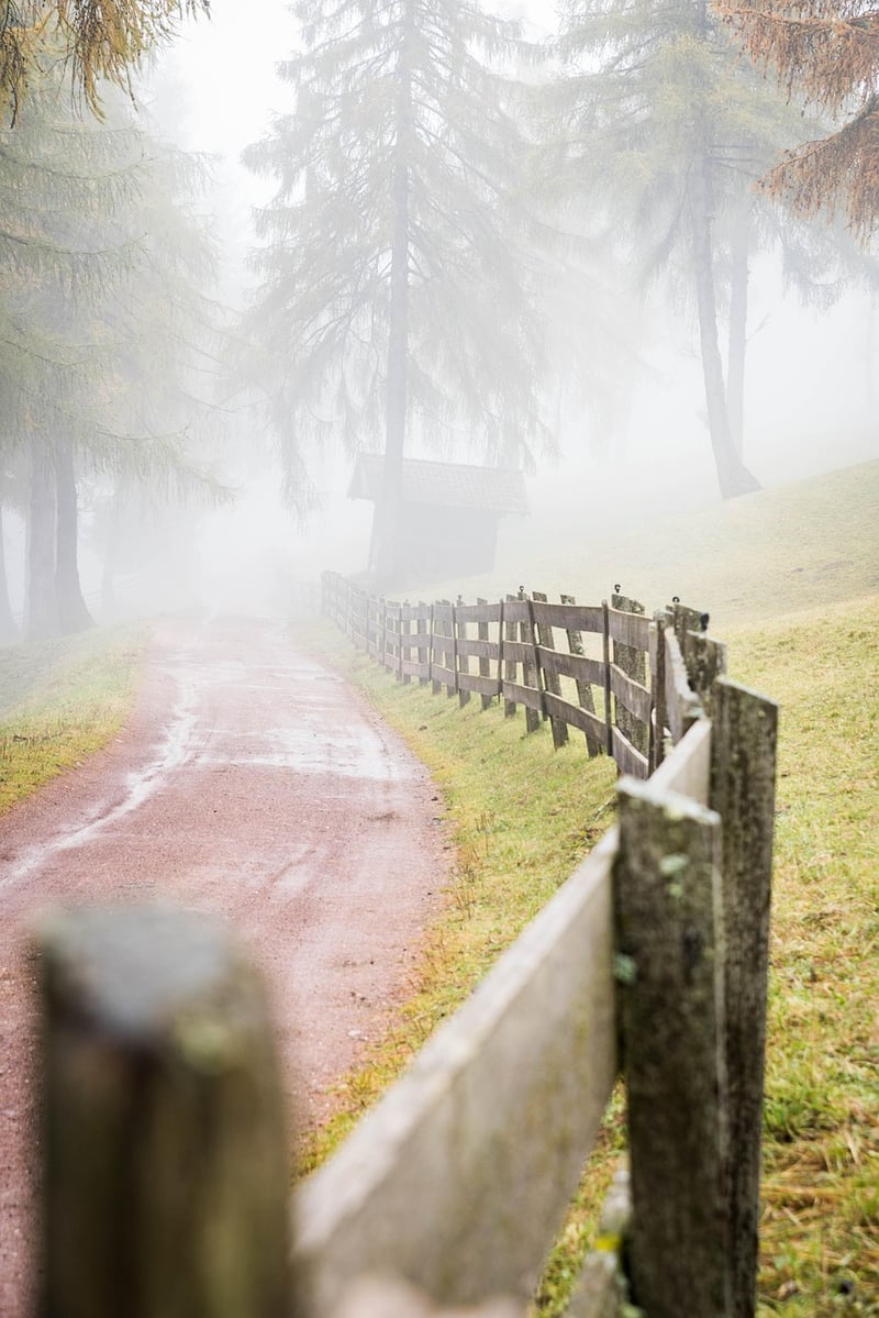 Mystery Pathways