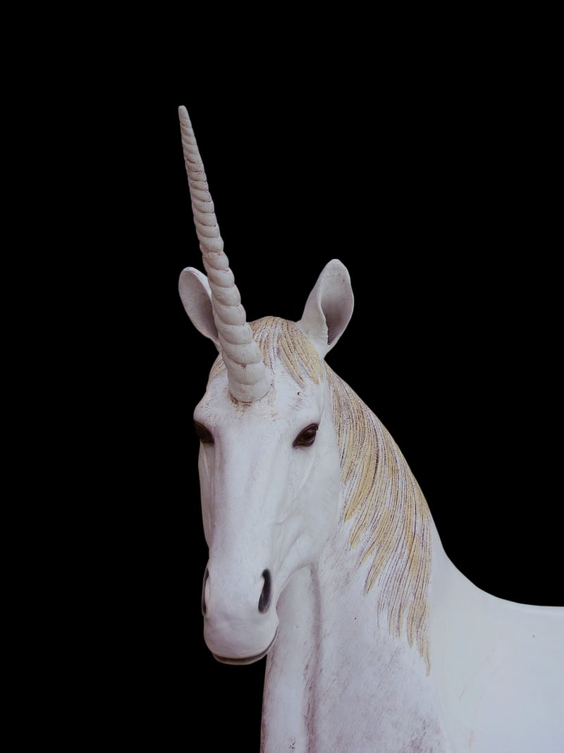 Unicorn in a meadow